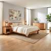 Modern American Platform Bed image
