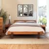 Modern American Platform Bed image