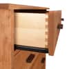 Modern Craftsman 5-Drawer Chest image