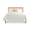 Modern Craftsman Low Footboard Bed image