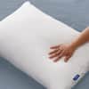 Original Pillow Double Pack image