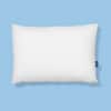 Original Pillow image