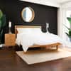 Pendant Bed image