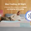 Snow Max image
