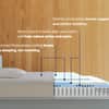 Snow Max image