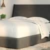 Haven Bed Frame image