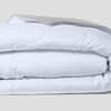 Lightweight Humidity Fighting Duvet image