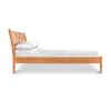 Andover Modern Incline Bed image