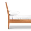 Andover Modern Incline Bed image