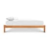 Contemporary Craftsman Studio-Style Platform Bed image