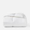 Goose Down Duvet Insert image