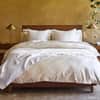 Cozy Cotton Organic Blanket image
