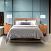 Pendant Bed image