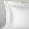 Giotto Sham image