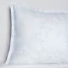 Pastena Sham image
