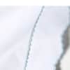 Pettine Sham image