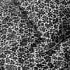 Nori Sham image