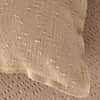 Plume Cushion image