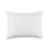 Arcadia Pillow image