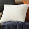 Pettra Decorative Pillow image