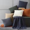 Pettra Decorative Pillow image
