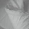 Sire Duvet Cover image