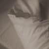 Sire Duvet Cover image