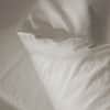 Sire Duvet Cover image