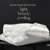 Summer Weight Silk Filled Comforter With Silk Shell - Online Exclusive image