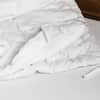All-Season Wool Comforter image