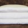 Certified Organic Wool Bed Pillows image