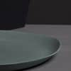 Guscio Tray Large image