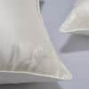 Silk pillow with silk shell image