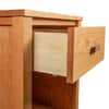 Andover Modern 1-Drawer Enclosed Shelf Nightstand image