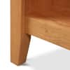 Andover Modern 1-Drawer Enclosed Shelf Nightstand image
