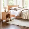 Andover Modern 1-Drawer Enclosed Shelf Nightstand image