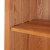 Contemporary Craftsman Custom Bookcase image