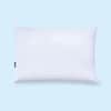 Down Pillow image