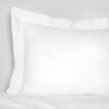 Giotto Sham image
