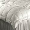 The Clean Bedroom Manhattan Goose Down Comforter image