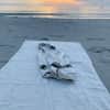 LinenCasa Linen Beach Towel image