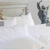 St Geneve Ziegler Down Pillow image