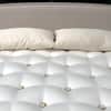 Naturally Organic Hudson Shredded Latex Pillow image