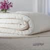Savvy Rest Harmony Latex Topper image