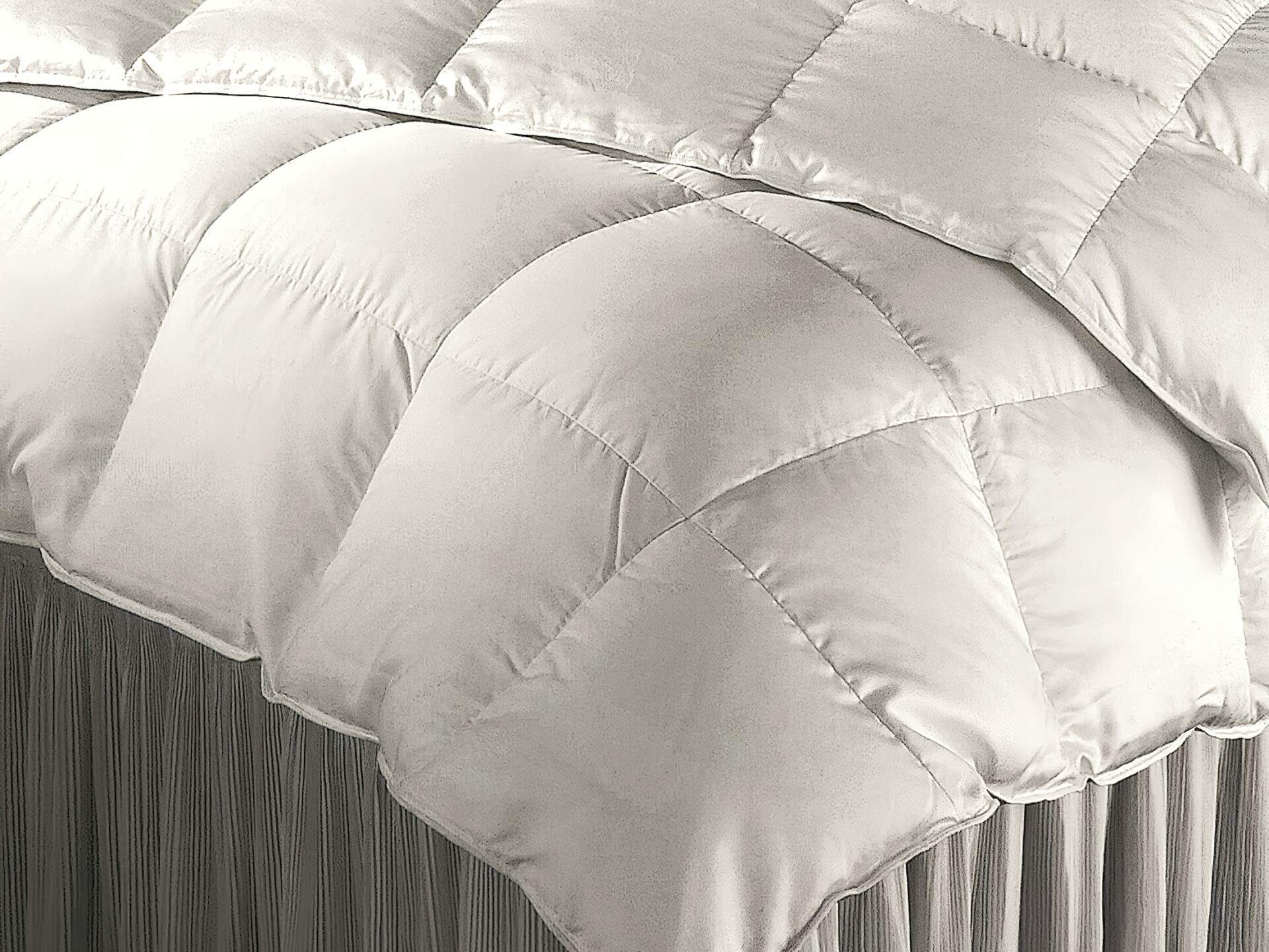 The Clean Bedroom Madison Goose Down Comforter