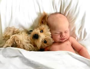 Baby falling asleep beside dog