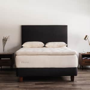 Obasan Grand Dunlop Latex Mattress