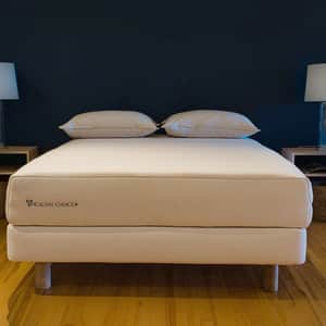 Aster Organic Dunlop Latex Mattress