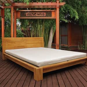 Organic Shikibuton - Latex 3.5