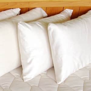 Certified Organic Snuggle Pillow